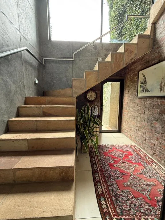 Modern staircase with concrete and wood steps, decorative rug, indoor plant