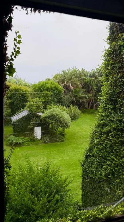 Lush green garden with hedges and palm trees visible from covered veranda
