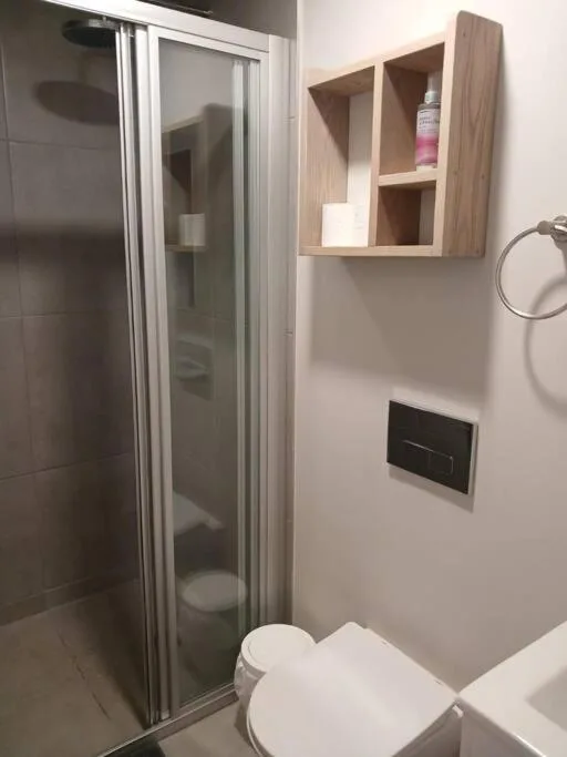 Modern bathroom with shower enclosure, toilet, and wooden wall shelving