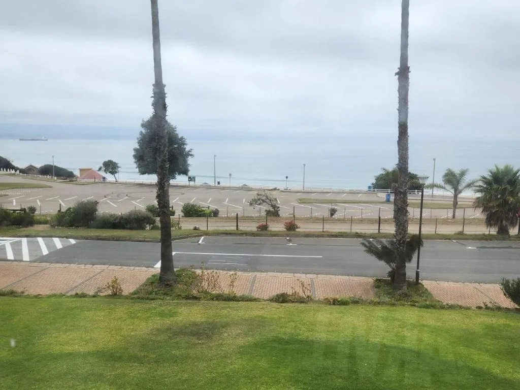 Coastal landscape view with beach, palm trees, and calm sea beyond