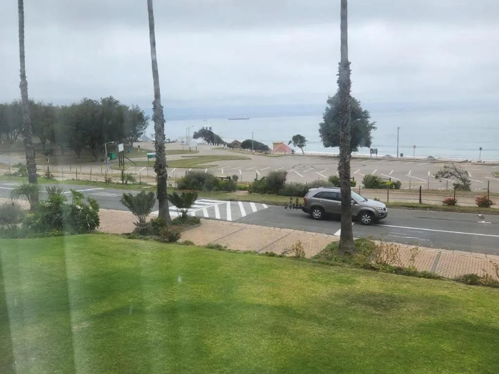 Coastal Garden Route vista with ocean, beachfront promenade, and palm trees