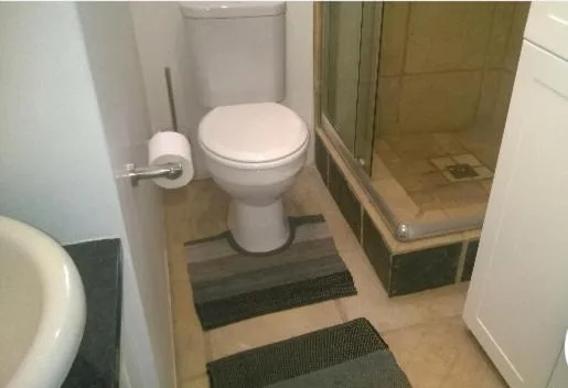 Bathroom with toilet, sink, shower cubicle, and dark green accents