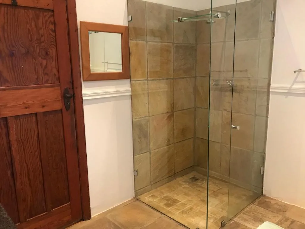Modern walk-in shower with glass enclosure and tiled walls