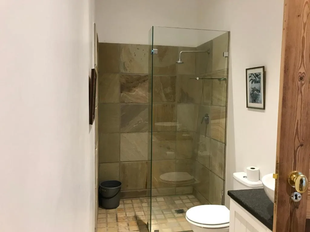 Modern bathroom with walk-in shower enclosure and dual toilets
