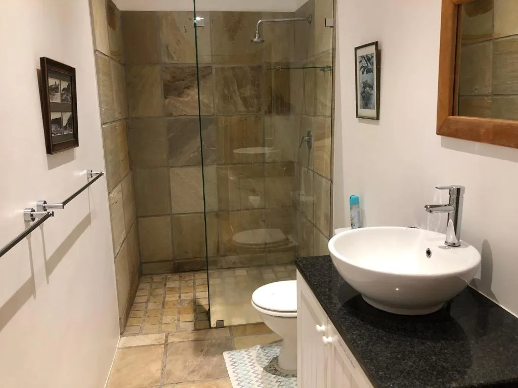 Modern bathroom with walk-in shower, white vessel sink, and contemporary fixtures
