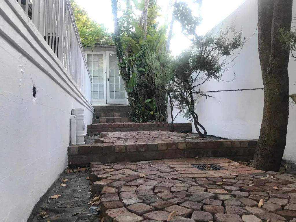 Brick paved courtyard with ivy-covered tree and white building walls