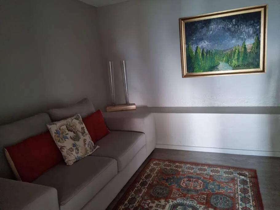 Gray sofa with red pillows and framed mountain landscape artwork on wall