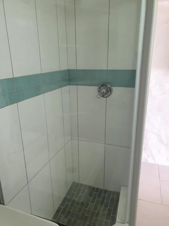 Modern walk-in shower with white tiles and turquoise accent band