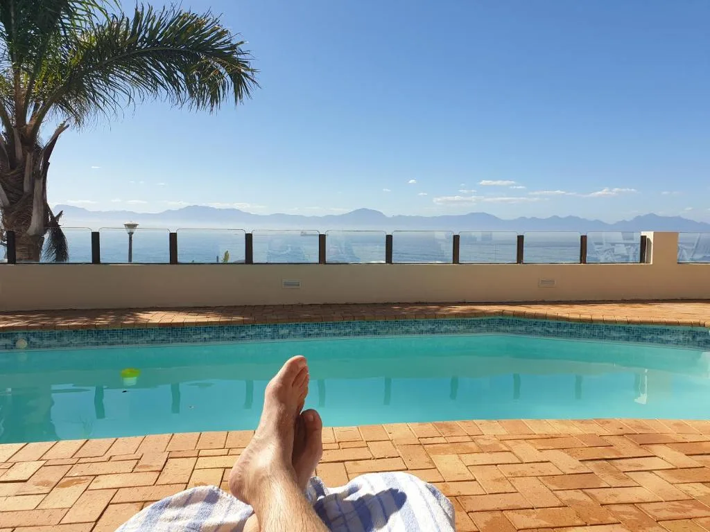 Swimming pool with mountain views and palm tree on sunny day