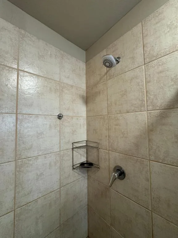 Tiled shower enclosure with rainfall showerhead and corner shelf