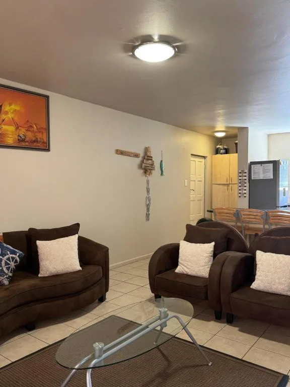 Spacious lounge with dark brown armchairs and glass coffee table