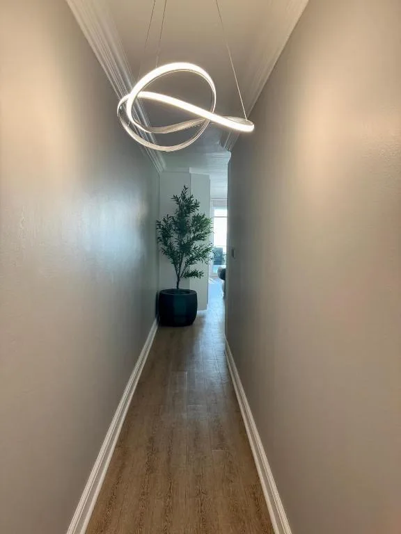 Modern hallway with sculptural pendant light and potted plant decoration