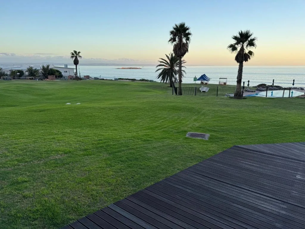 Expansive beachfront lawn with ocean vista and palm trees at sunset