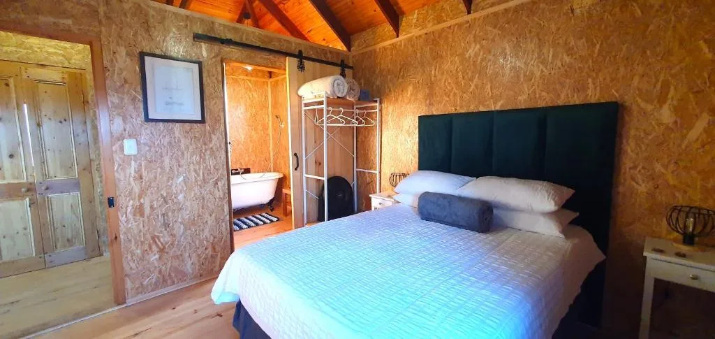 Spacious bedroom with queen bed, black headboard, and en-suite bathroom visible