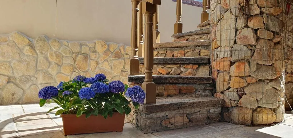 Stone steps and gabion wall with blue hydrangeas in terracotta planter