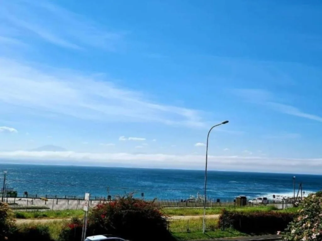 Expansive ocean and beach view under clear blue sky from property