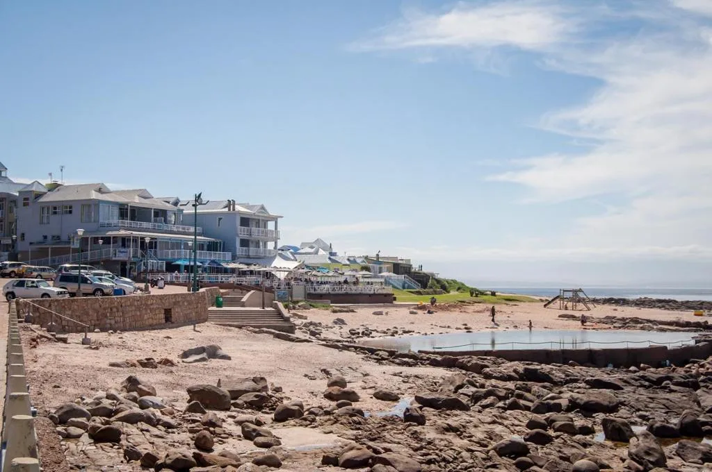 Beachfront holiday homes with ocean views and rocky shoreline