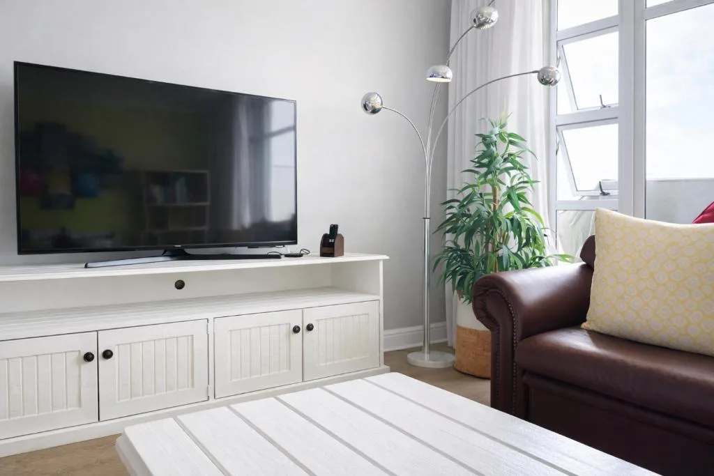 Bright living room with TV, leather sofa, arc lamp, and potted plant