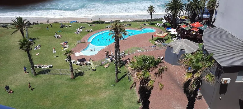Curved swimming pool with palm trees, beach and ocean in background