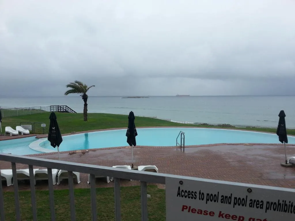 Beachfront swimming pool with ocean and palm tree view