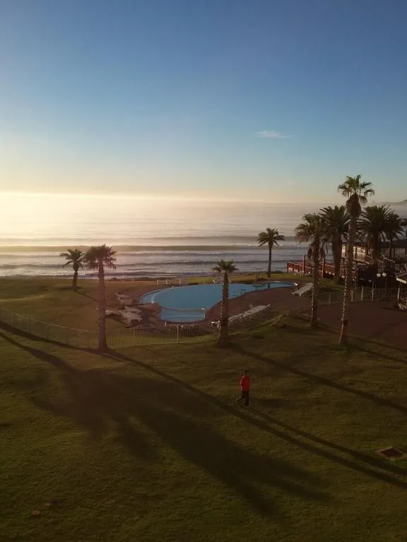 Scenic oceanfront view with pool, palm trees, and sandy beach