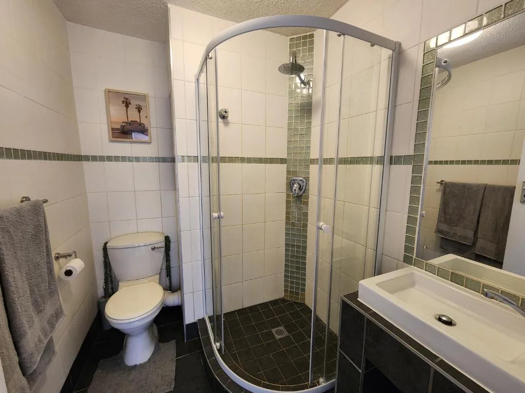 Modern bathroom with shower enclosure, toilet, vanity sink and tiled walls