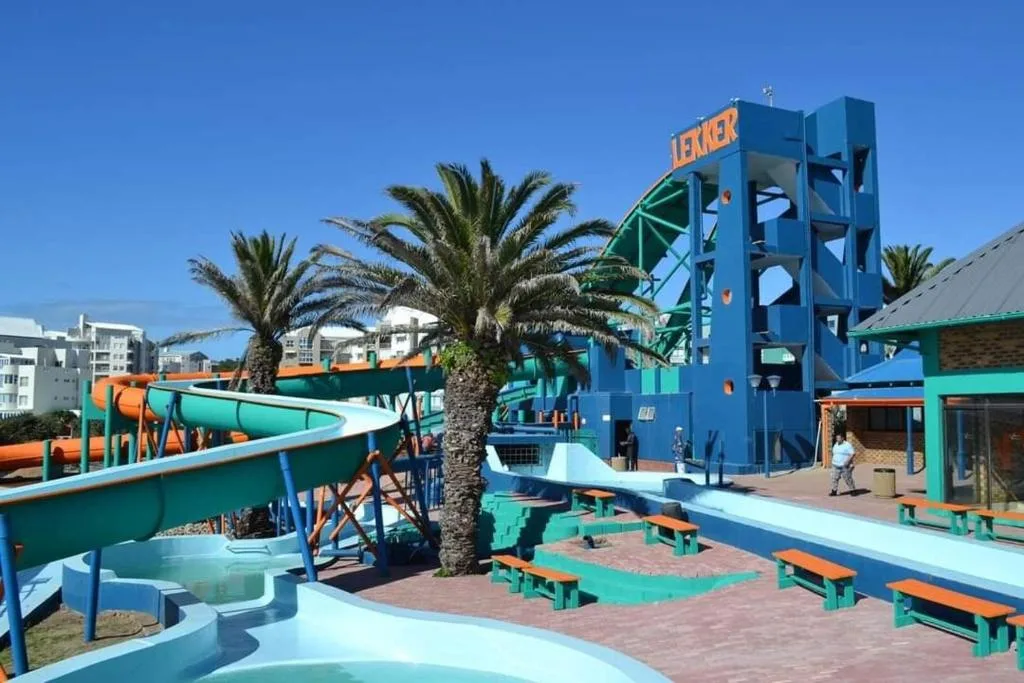 Colorful water park with slides, tower, and palm trees nearby