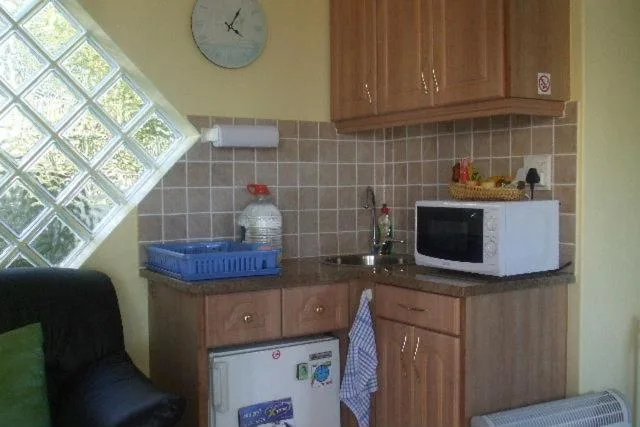 Compact kitchen with wooden cabinetry, microwave, and window view