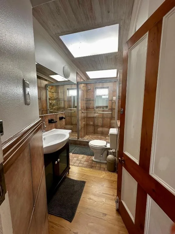 Modern bathroom with glass shower enclosure, vanity sink, and skylight
