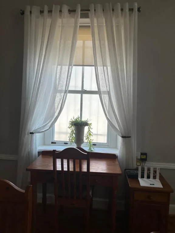 Bright window with sheer curtains and potted plant on wooden desk