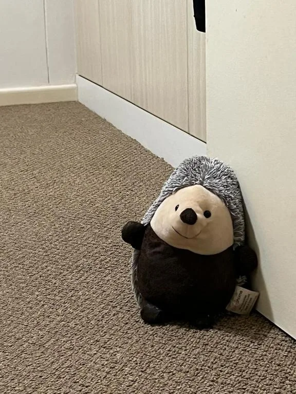 Cute stuffed hedgehog toy sitting on carpeted hallway floor