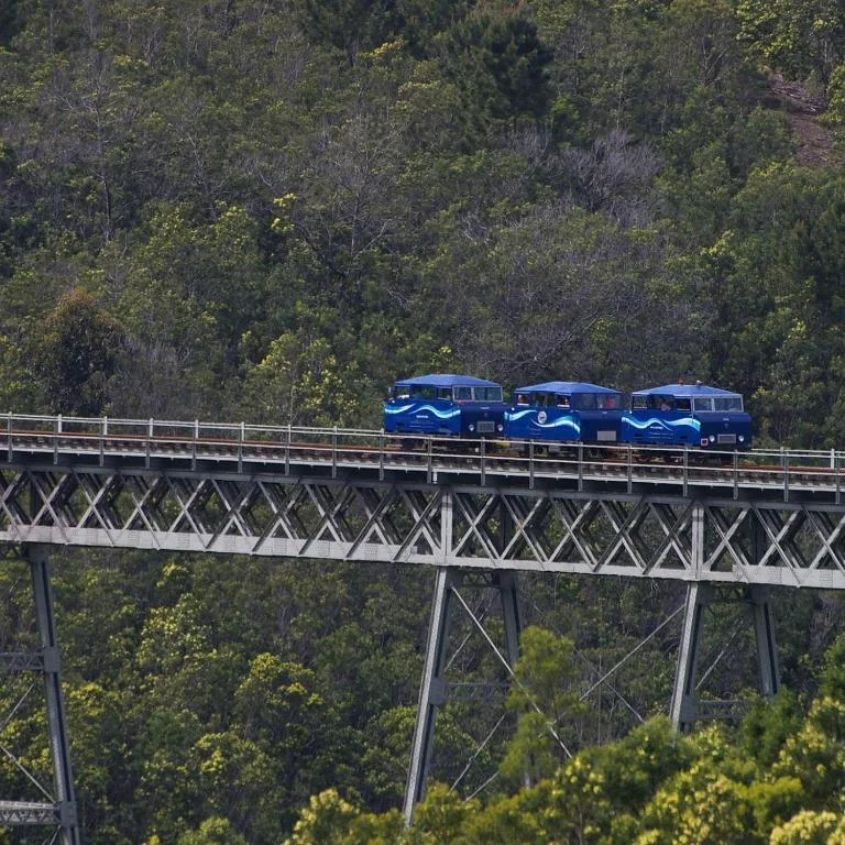 Blue train crossing high bridge over forested valley and indigenous vegetation
