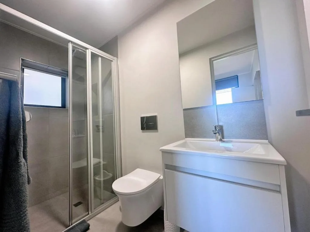 Modern bathroom with walk-in shower, toilet, and white vanity sink