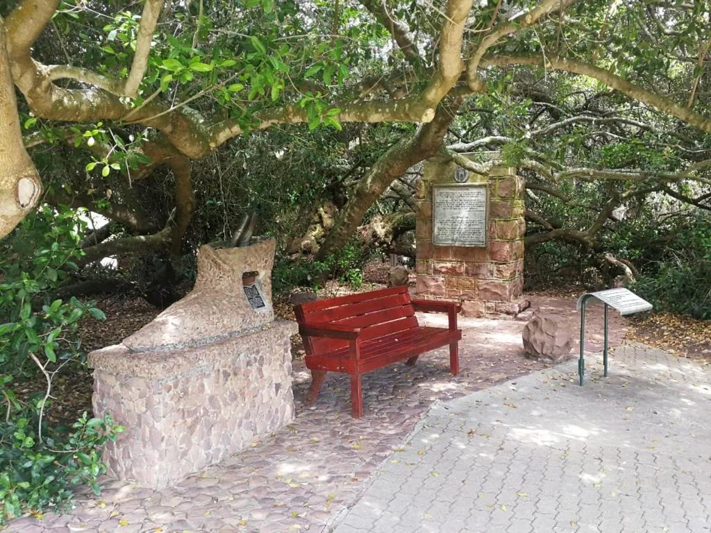 Red bench beneath ancient trees in shaded garden courtyard area