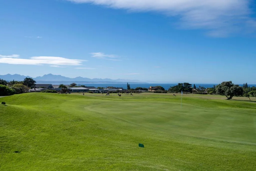 Scenic golf course view with distant mountains and blue ocean horizon