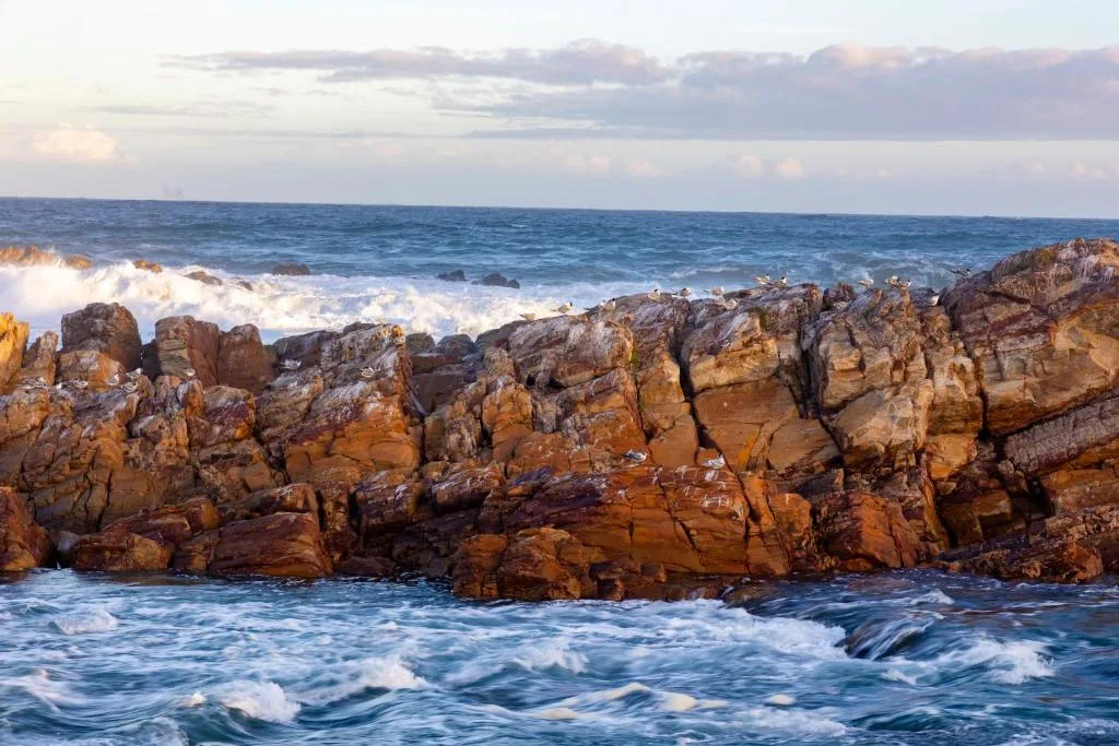Rocky coastline with crashing waves and dramatic cloudy sky at dusk