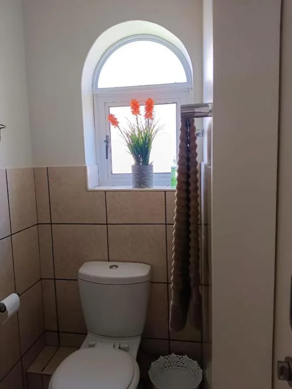 Bathroom with toilet, arched window, and potted red flowers