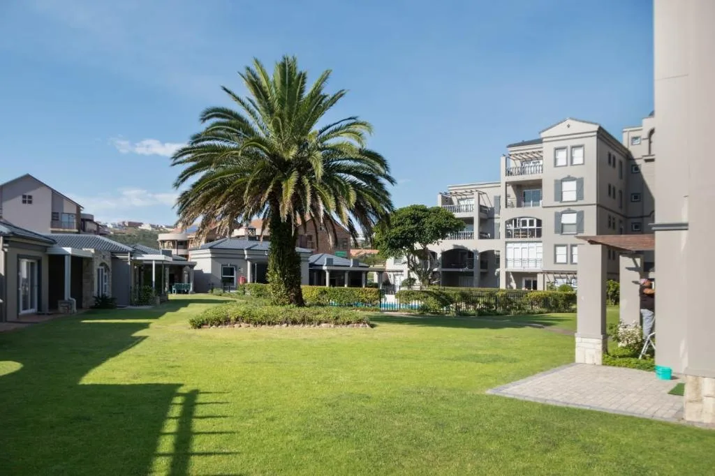 Lush green lawn with palm tree and seaside residential buildings