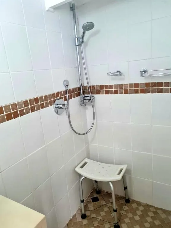 Modern shower enclosure with handheld showerhead and brown tile border accent