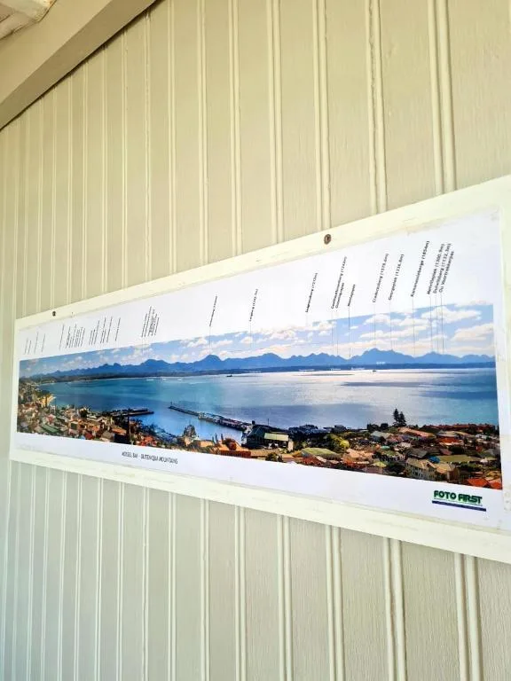 Framed panoramic photograph of coastal mountain landscape hung on wall