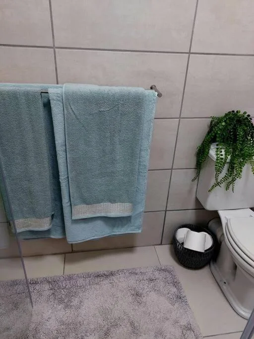 Bathroom corner with blue towels, toilet, and potted plant decoration