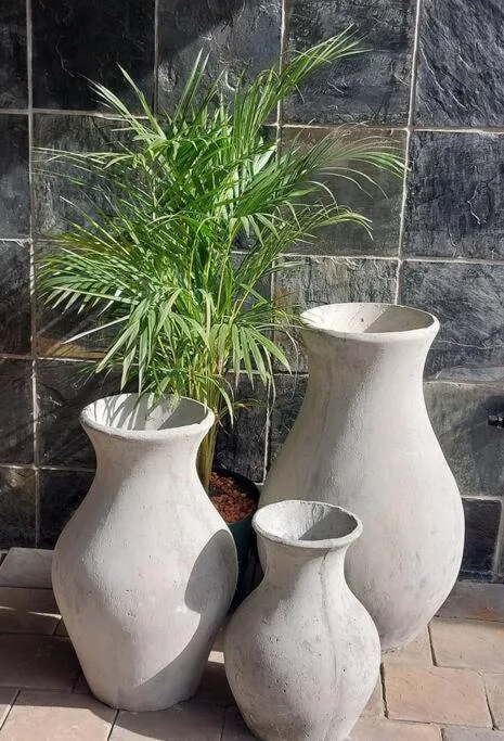 White ceramic vases with green potted plant decorating outdoor patio area