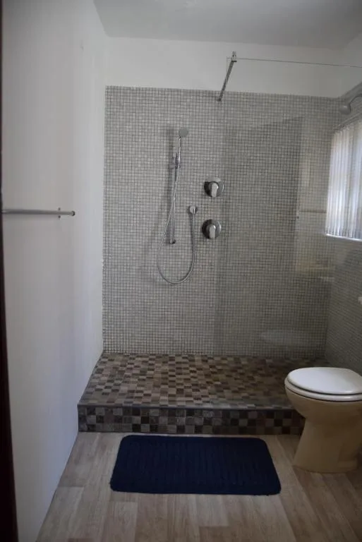 Modern bathroom with walk-in shower, mosaic tiling, and toilet fixture