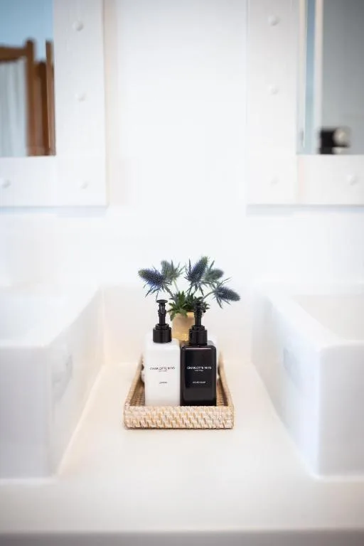 Bathroom vanity with decorative soap dispensers and potted plant arrangement