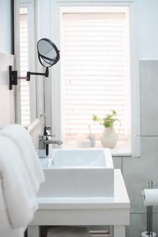 Bright bathroom vanity with white sink, mirror, and potted plants on windowsill