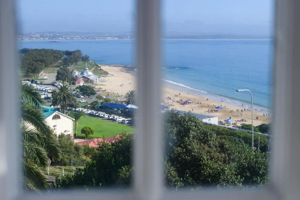 Expansive beach and ocean view through window with palm trees visible