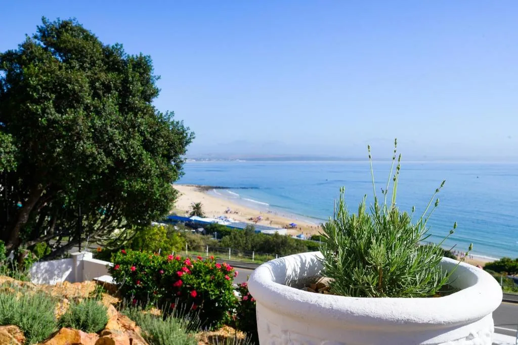 Panoramic coastal view of sandy beach and blue ocean from property garden