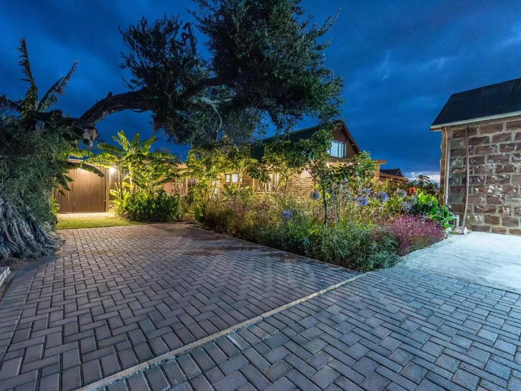 Illuminated driveway with mature olive tree and flowering garden beds at dusk