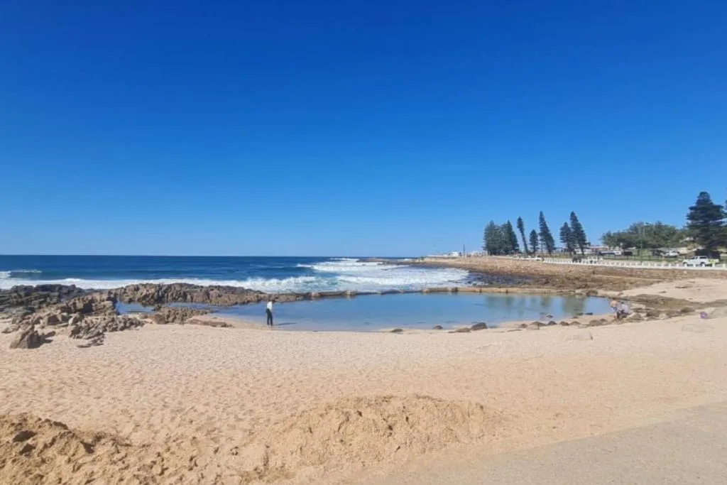 Scenic beach with rocky pools, ocean waves, and pine trees under clear blue sky