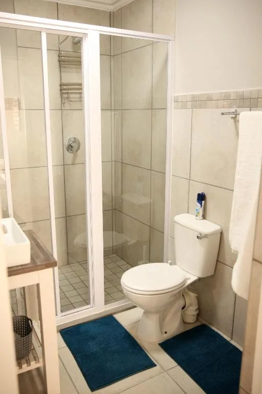 Clean bathroom with shower enclosure, toilet, and blue floor mats